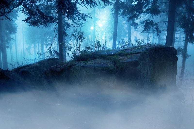 Mystical Forest